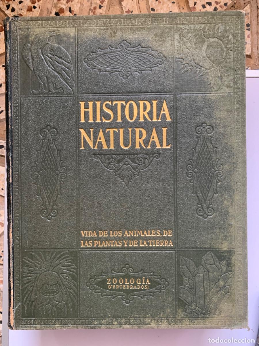 Libros de segunda mano: Historia Natural , completa 4 tomos. Instituto Gallach - Foto 3