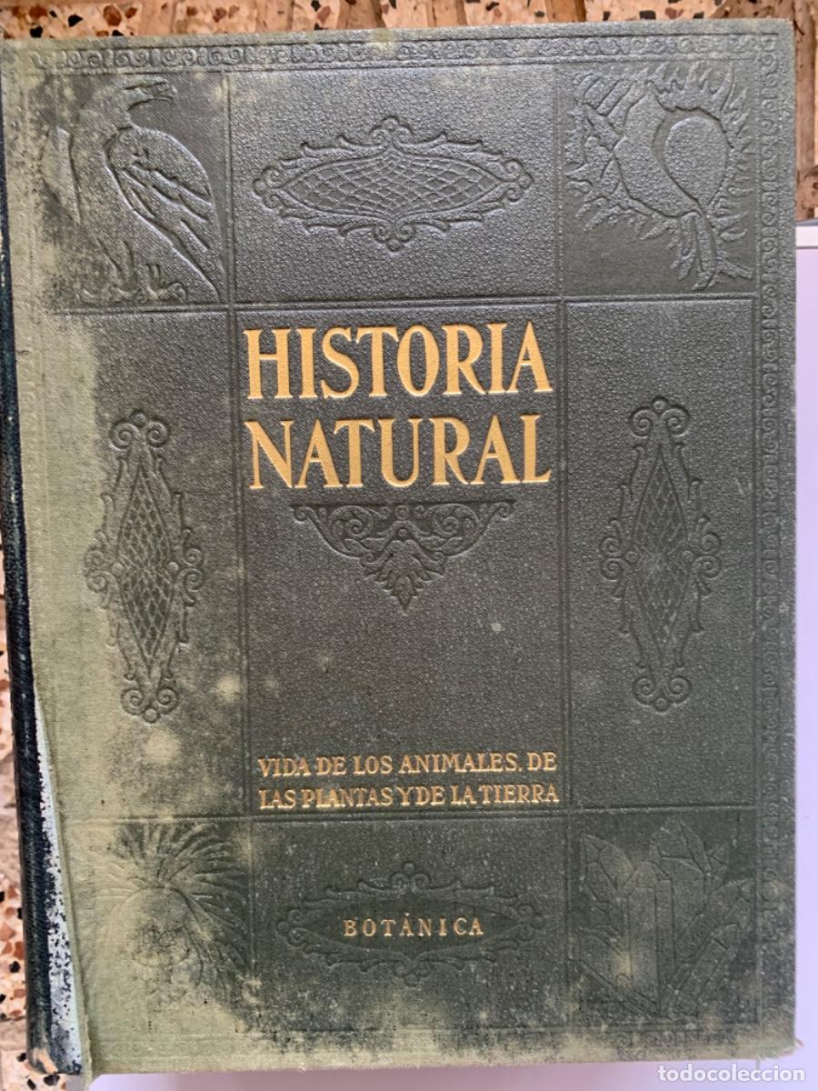 Libros de segunda mano: Historia Natural , completa 4 tomos. Instituto Gallach - Foto 4