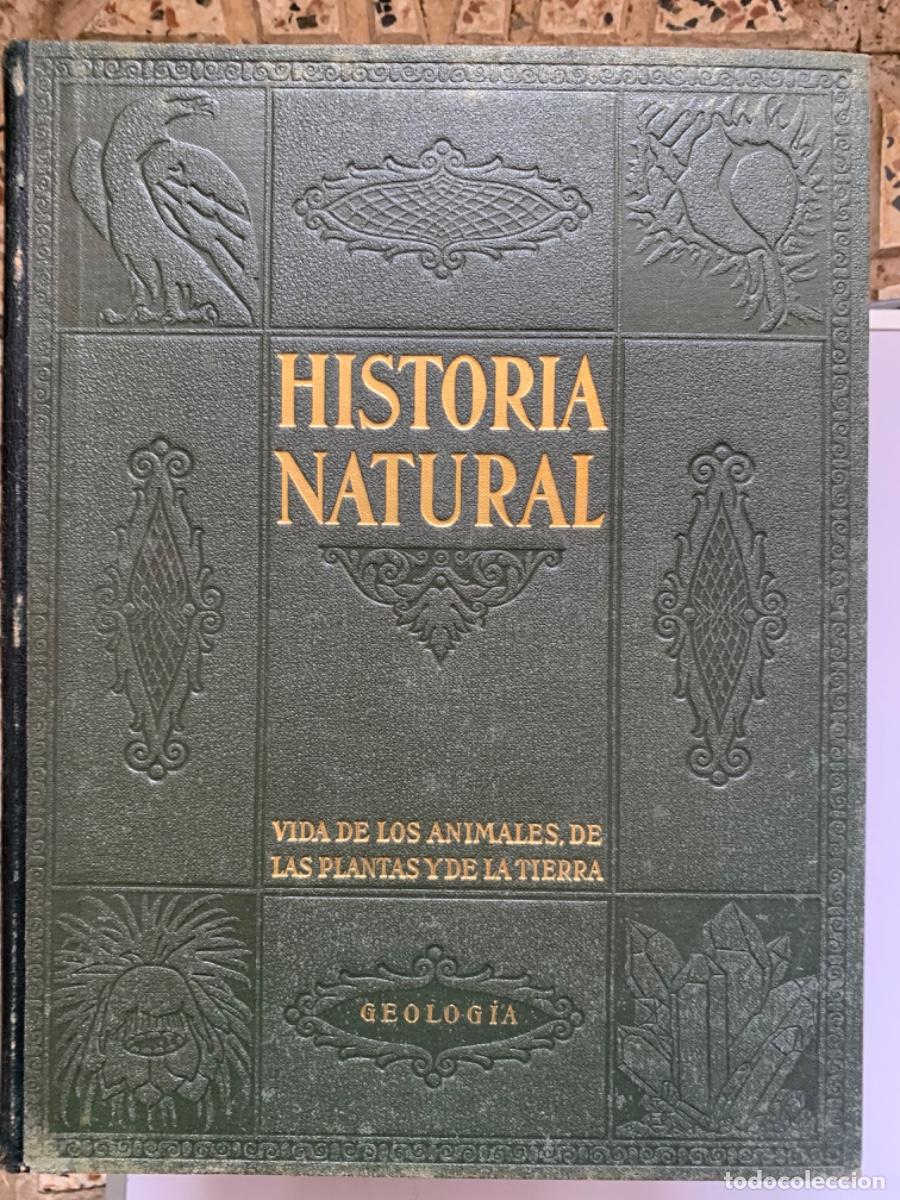 Libros de segunda mano: Historia Natural , completa 4 tomos. Instituto Gallach - Foto 5