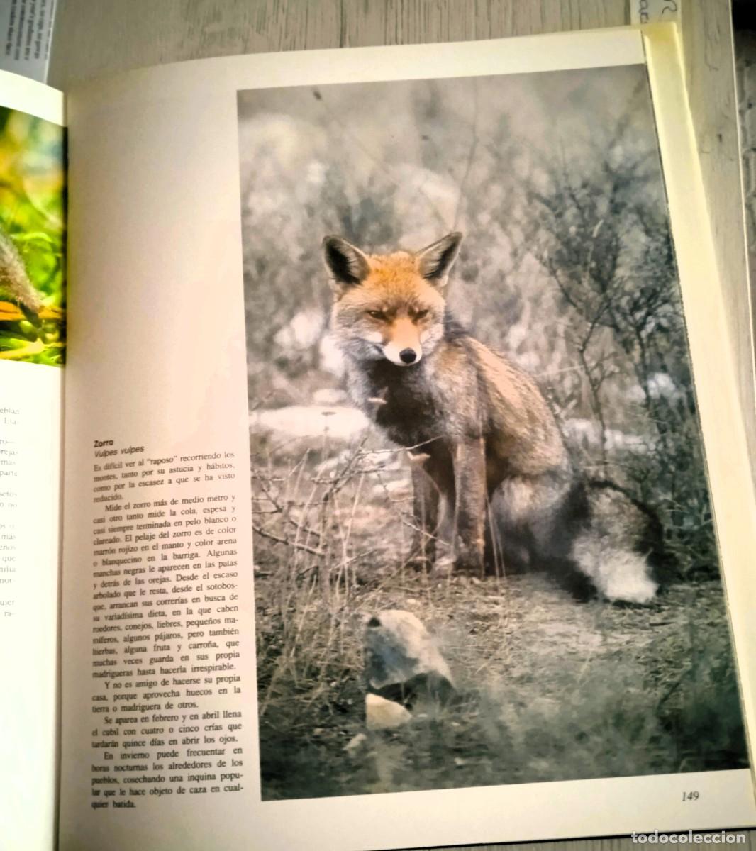 Libros de segunda mano: LIBRO DE LA NATURALEZA. CASTILLA Y LE&Oacute;N. - Foto 2