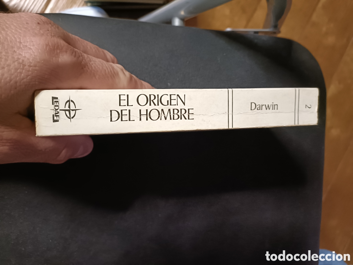 Libros de segunda mano: Libro El Origen de las Especies -Darwin- Biblioteca Edaf (Z1) - Foto 3
