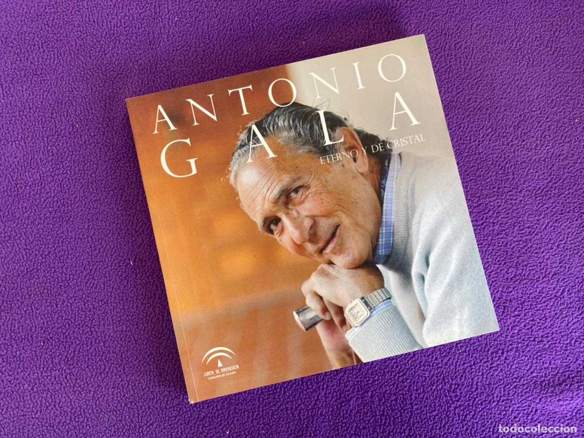 Libros de segunda mano: ANTONIO GALA ETERNO Y DE CRISTAL CAT&Aacute;LOGO - VV.AA - Foto 1