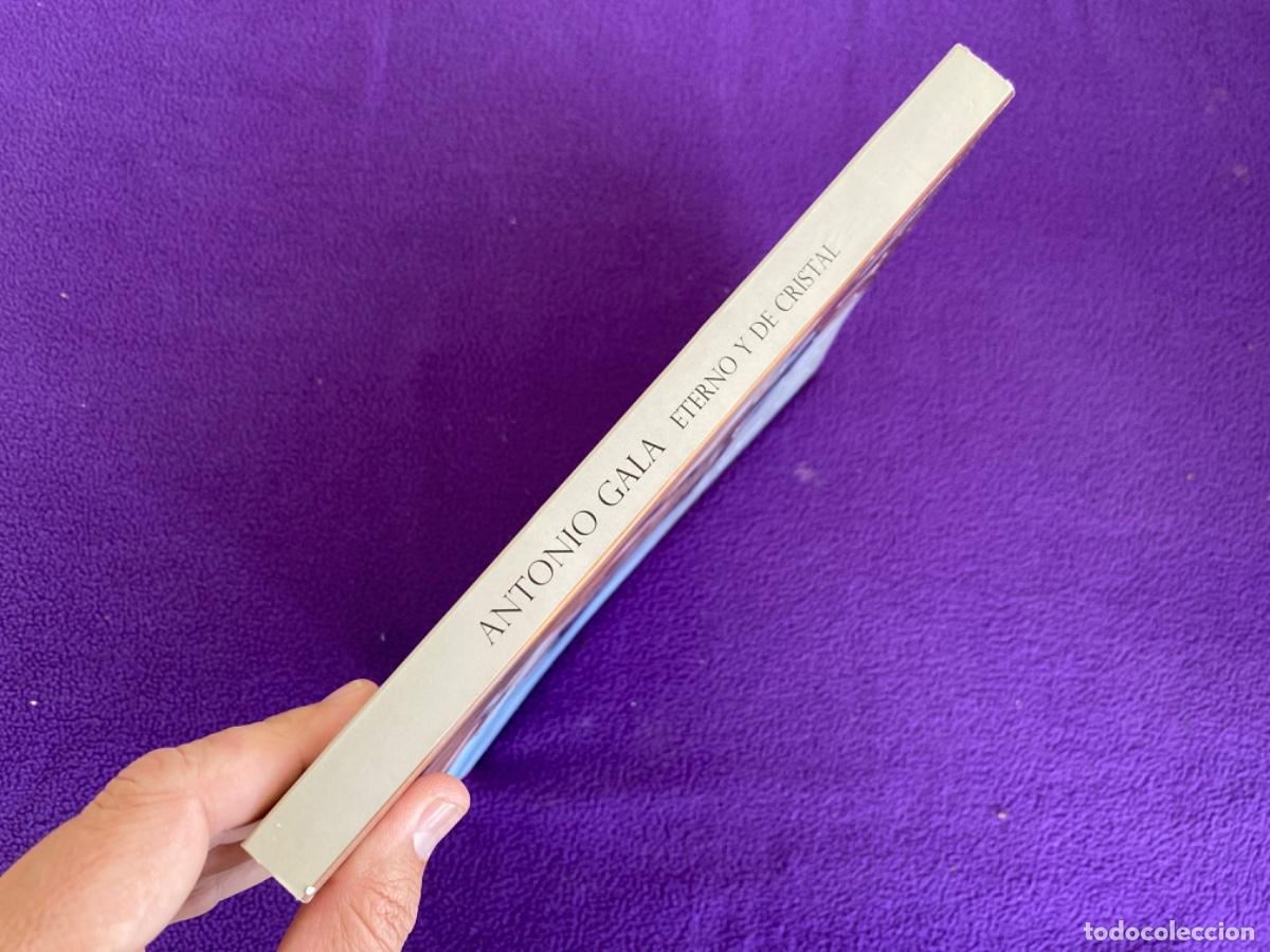 Libros de segunda mano: ANTONIO GALA ETERNO Y DE CRISTAL CAT&Aacute;LOGO - VV.AA - Foto 2