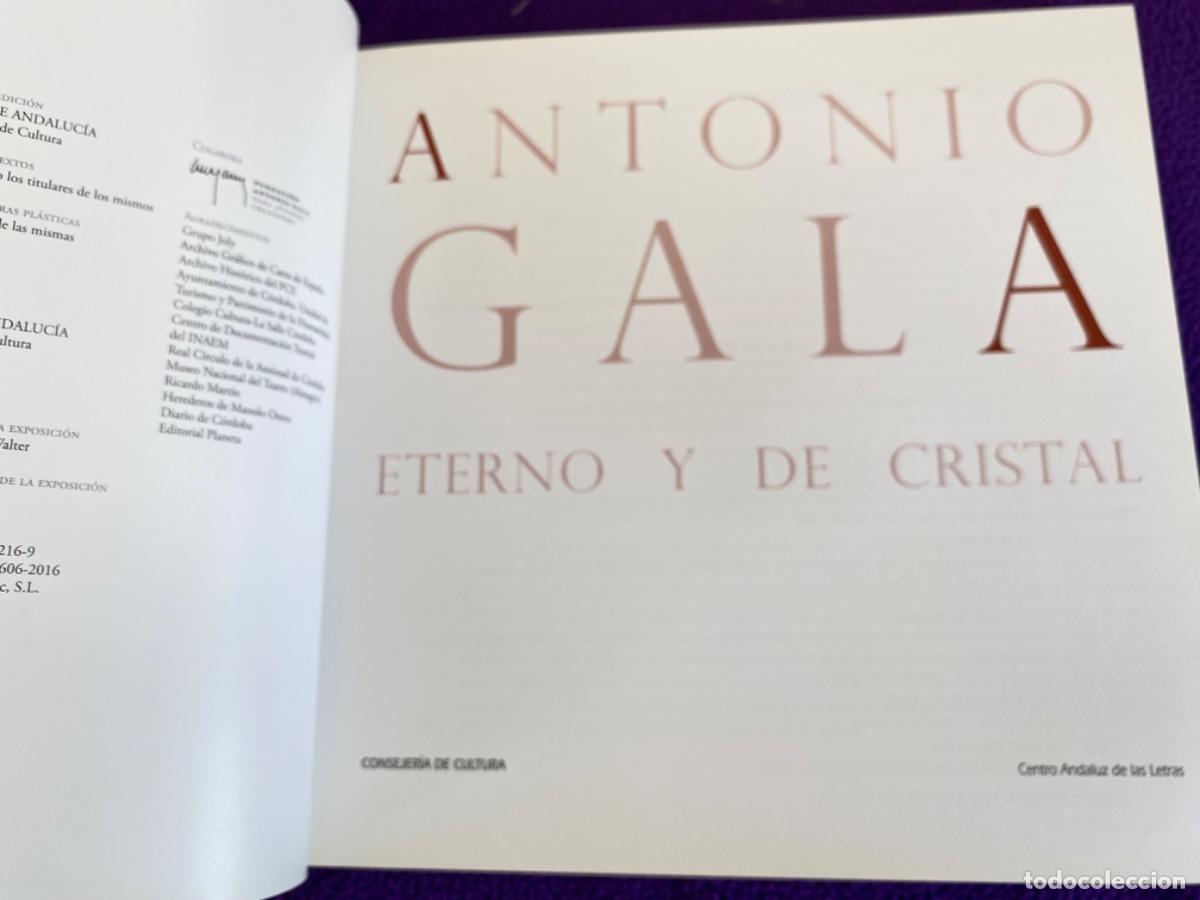 Libros de segunda mano: ANTONIO GALA ETERNO Y DE CRISTAL CAT&Aacute;LOGO - VV.AA - Foto 9