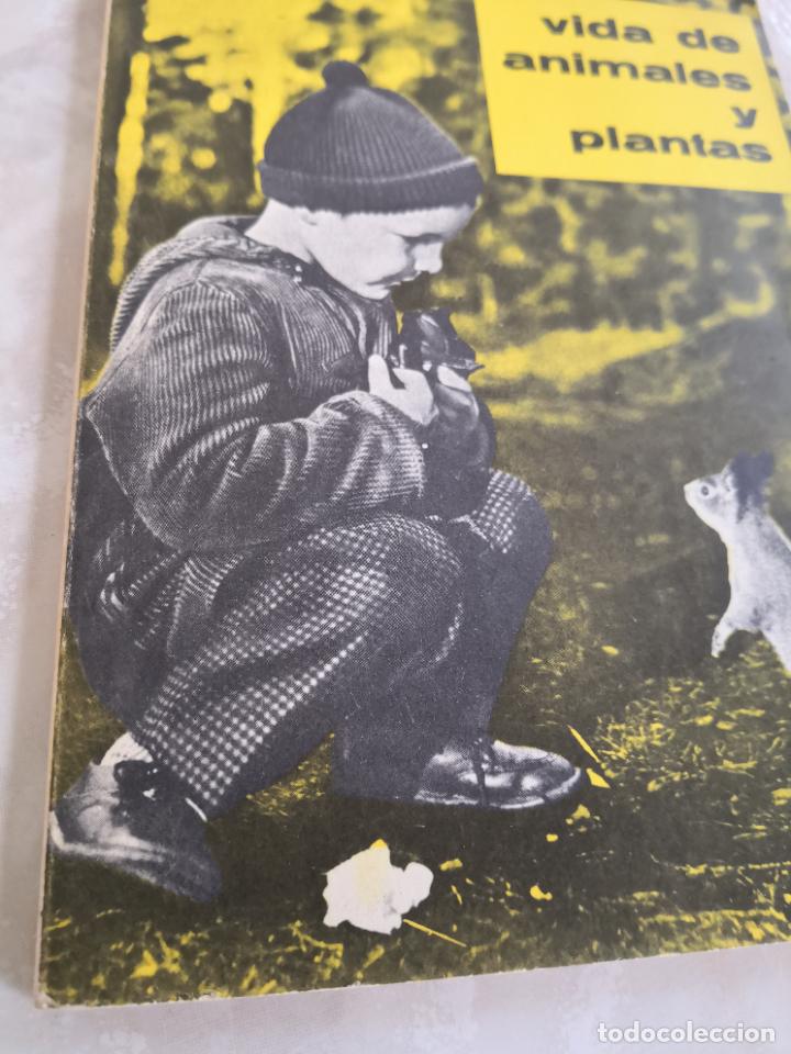 Libros de segunda mano: VIDA DE ANIMALES Y PLANTAS TEIDE-PORTE 5,99 - Foto 2