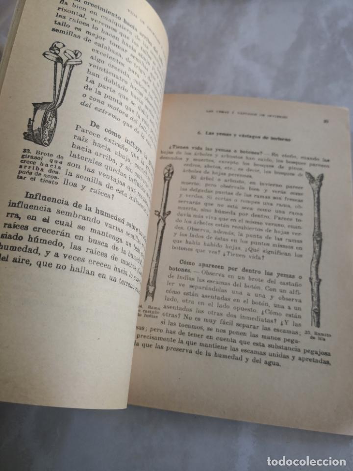Libros de segunda mano: VIDA DE ANIMALES Y PLANTAS TEIDE-PORTE 5,99 - Foto 4