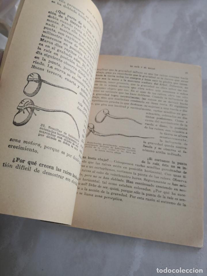 Libros de segunda mano: VIDA DE ANIMALES Y PLANTAS TEIDE-PORTE 5,99 - Foto 5