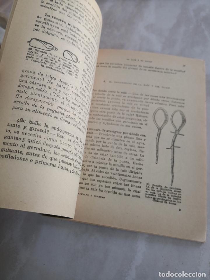 Libros de segunda mano: VIDA DE ANIMALES Y PLANTAS TEIDE-PORTE 5,99 - Foto 6