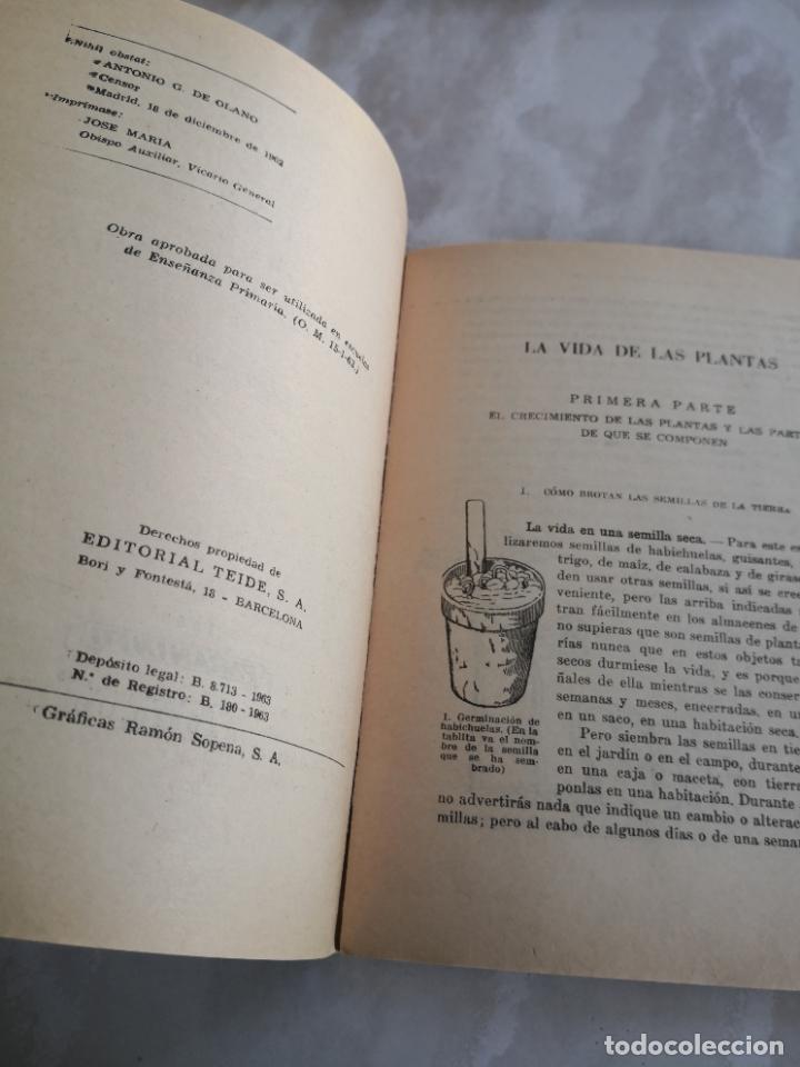 Libros de segunda mano: VIDA DE ANIMALES Y PLANTAS TEIDE-PORTE 5,99 - Foto 7