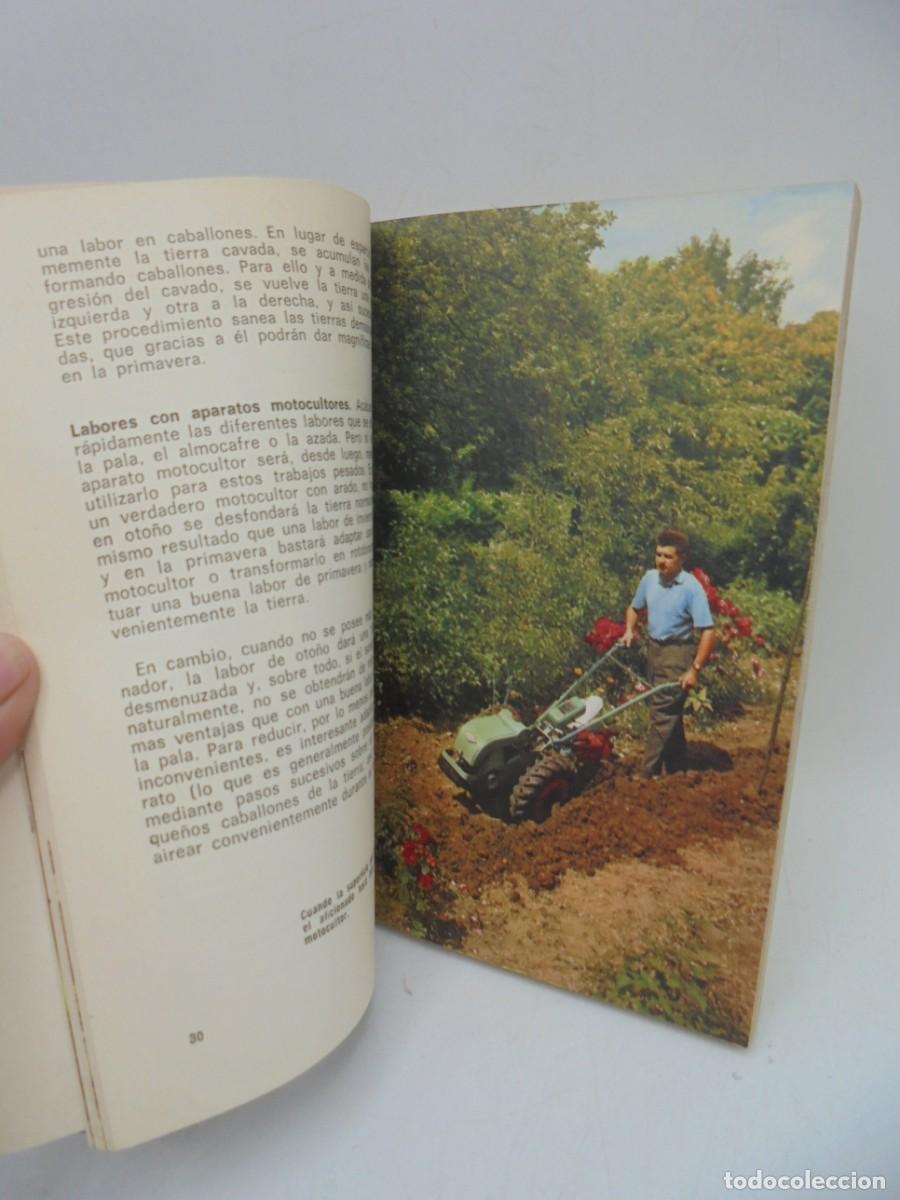 Libros de segunda mano: JARDINES. PIERRE ROCHE. EDICIONES DAIMON. 1964. PAGS : 159. - Foto 2