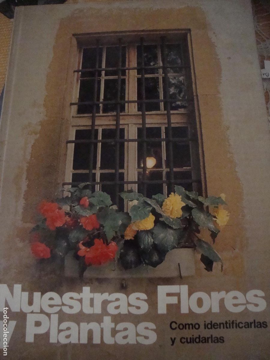 libro de flores y plantas