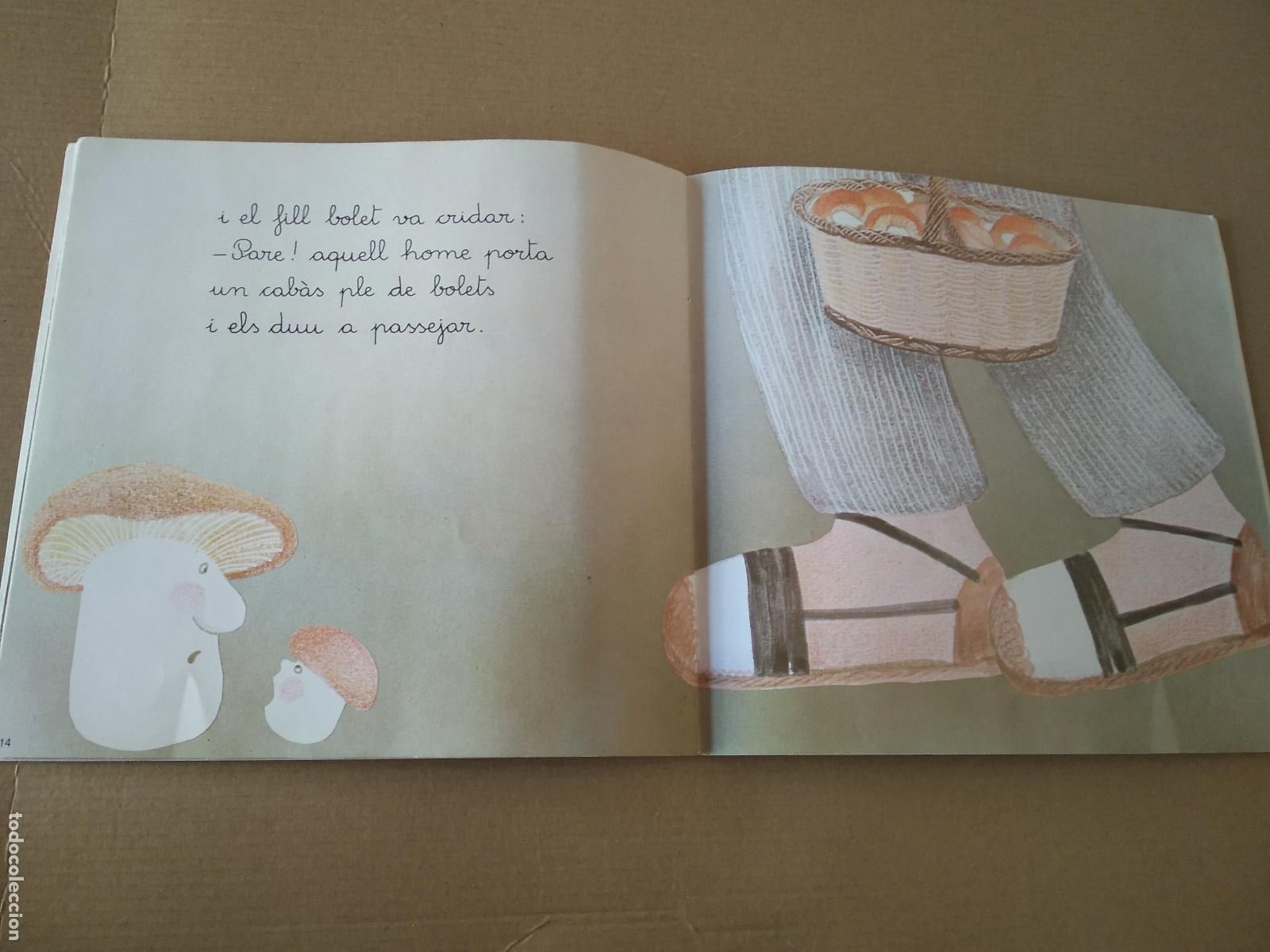 Libros de segunda mano: LIBRO EN CATALAN LA FAMILIA DE BOLETS EDITORIAL TEIDE - Foto 2