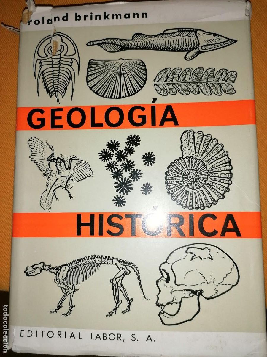 Libros de segunda mano: Compendio de Geolog&iacute;a hist&oacute;rica.- Brinkmann, Roland - Foto 1