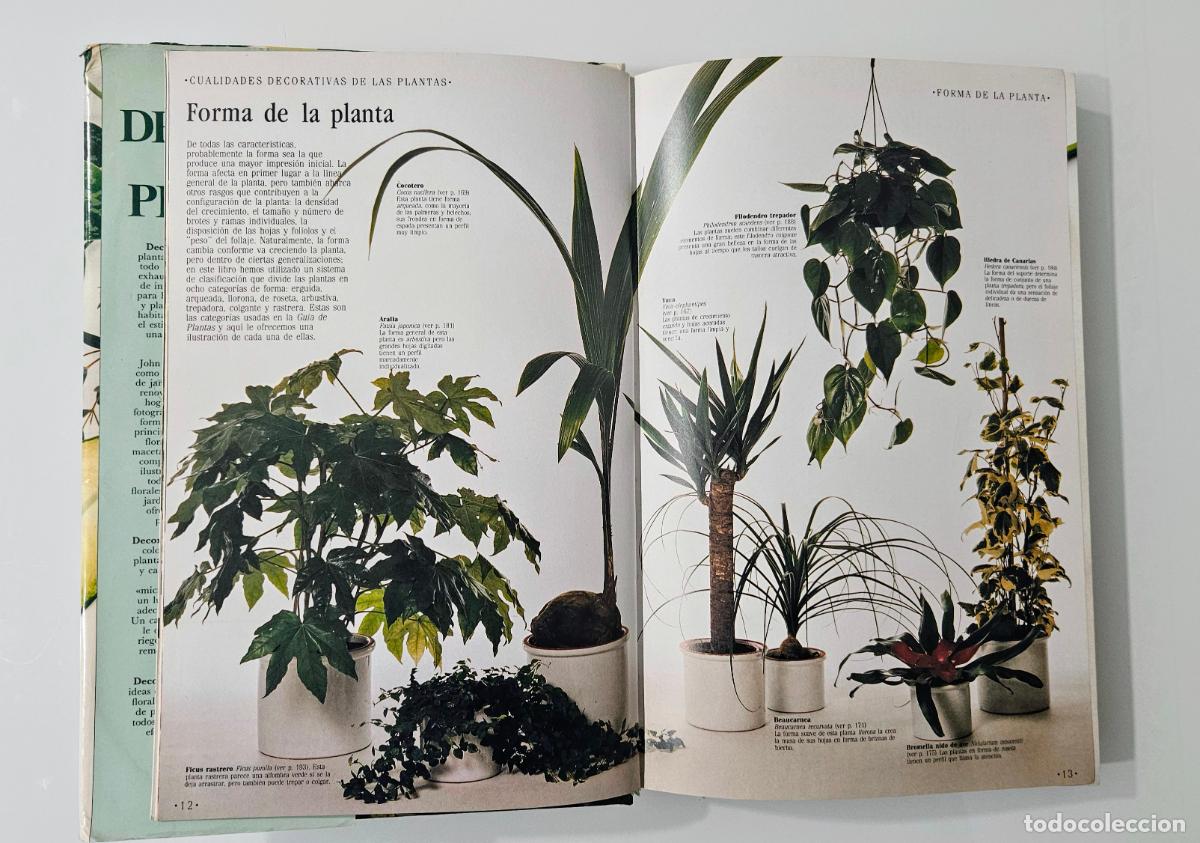 Libros de segunda mano: Decorar con plantas | Brookes, John | Ediciones Temas de Hoy, 1988 - Foto 6
