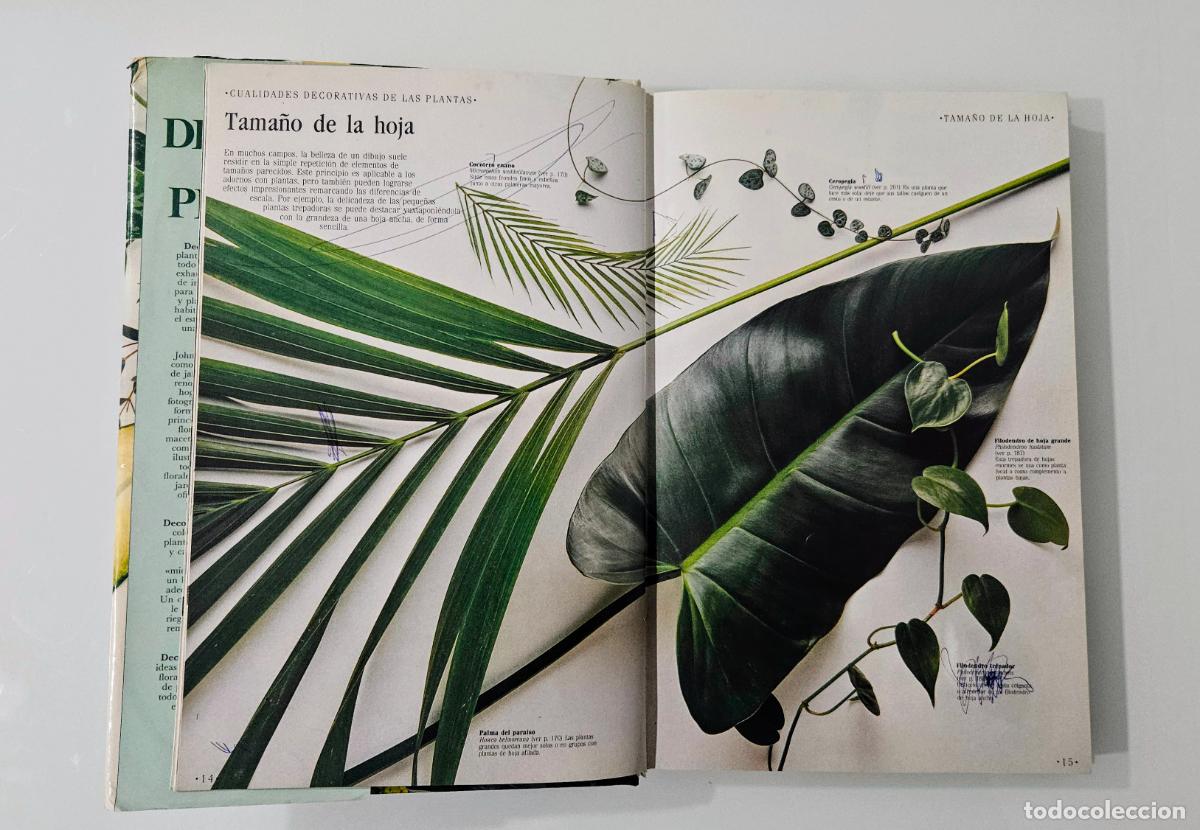 Libros de segunda mano: Decorar con plantas | Brookes, John | Ediciones Temas de Hoy, 1988 - Foto 7