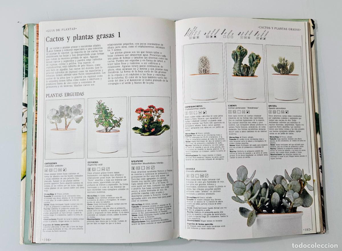Libros de segunda mano: Decorar con plantas | Brookes, John | Ediciones Temas de Hoy, 1988 - Foto 9