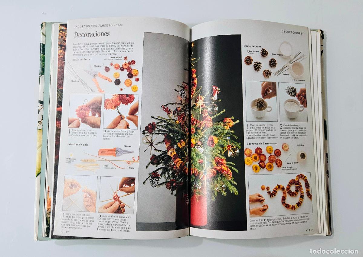 Libros de segunda mano: Decorar con plantas | Brookes, John | Ediciones Temas de Hoy, 1988 - Foto 10