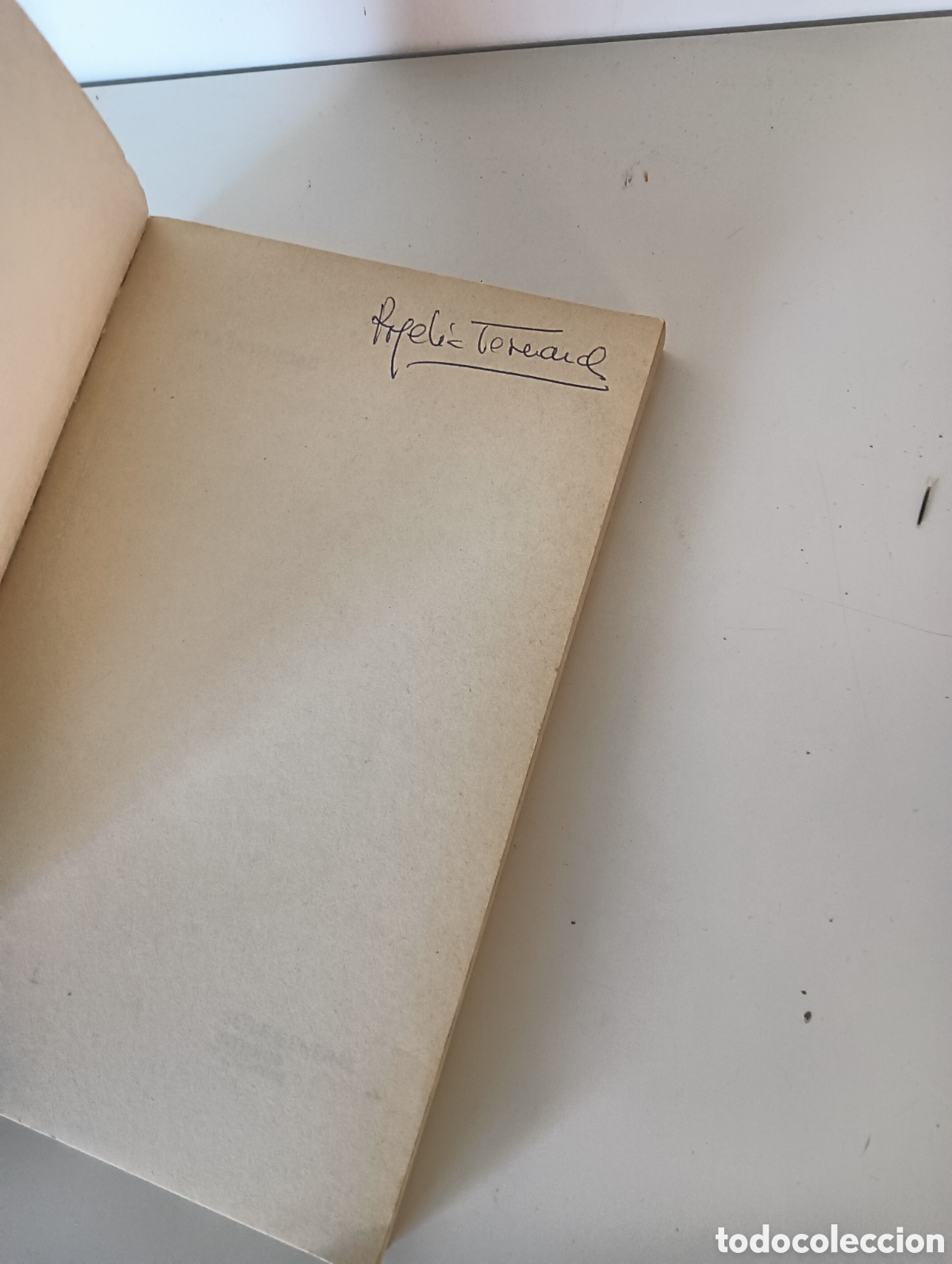 Libros de segunda mano: DE LA INTIMIDAD CARLOS CASTILLA DEL PINO - Foto 4