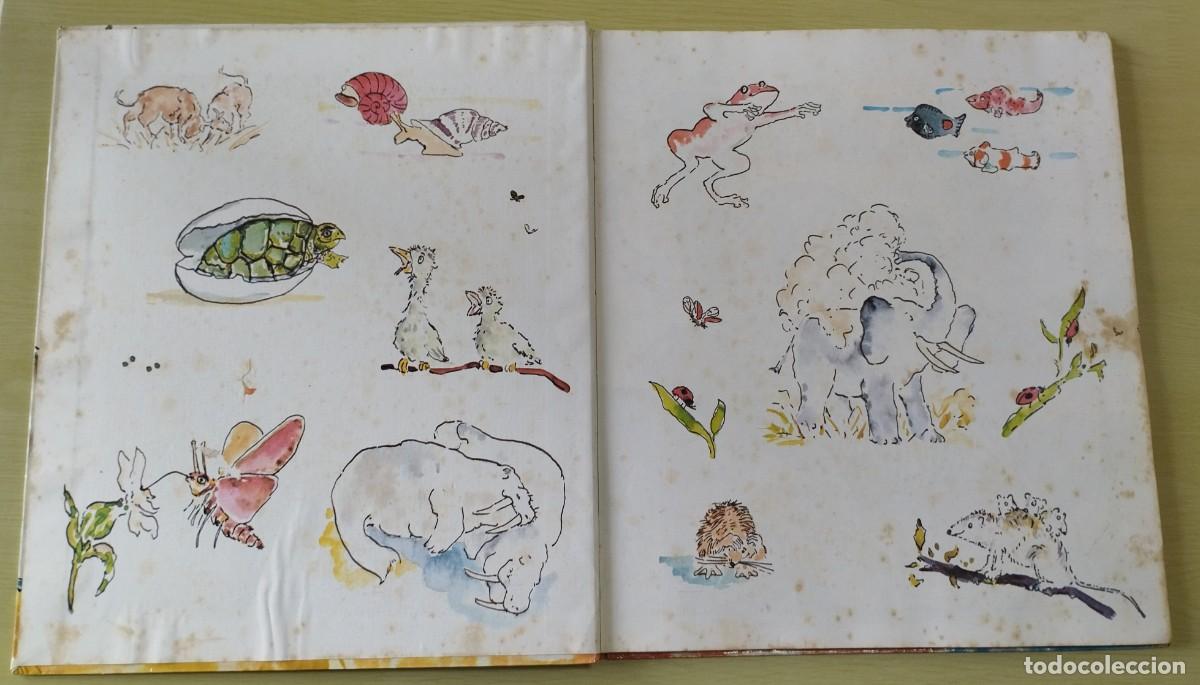 Libros de segunda mano: Animais! Animais! de Peter Lippman - Foto 3
