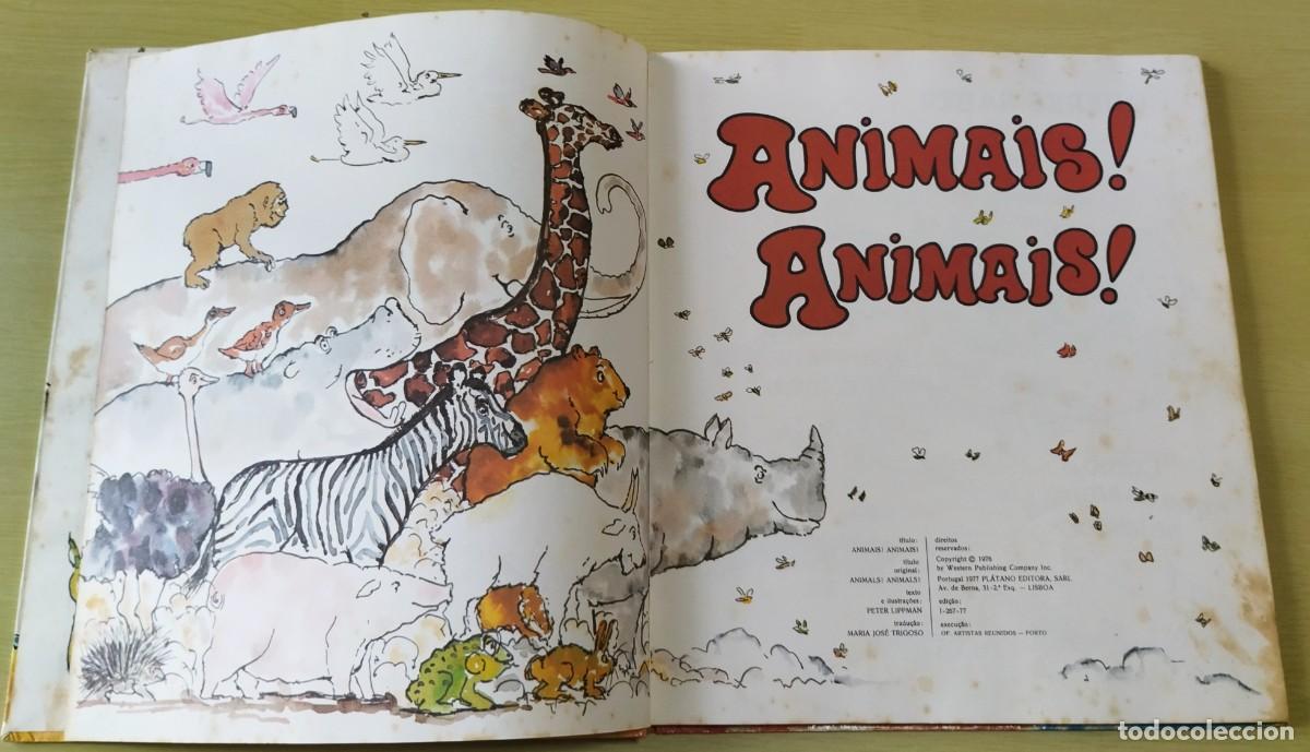 Libros de segunda mano: Animais! Animais! de Peter Lippman - Foto 4