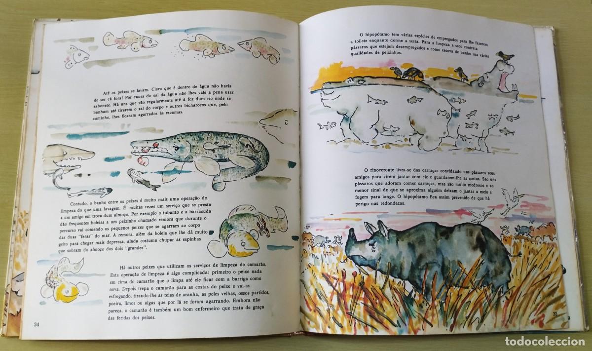 Libros de segunda mano: Animais! Animais! de Peter Lippman - Foto 7
