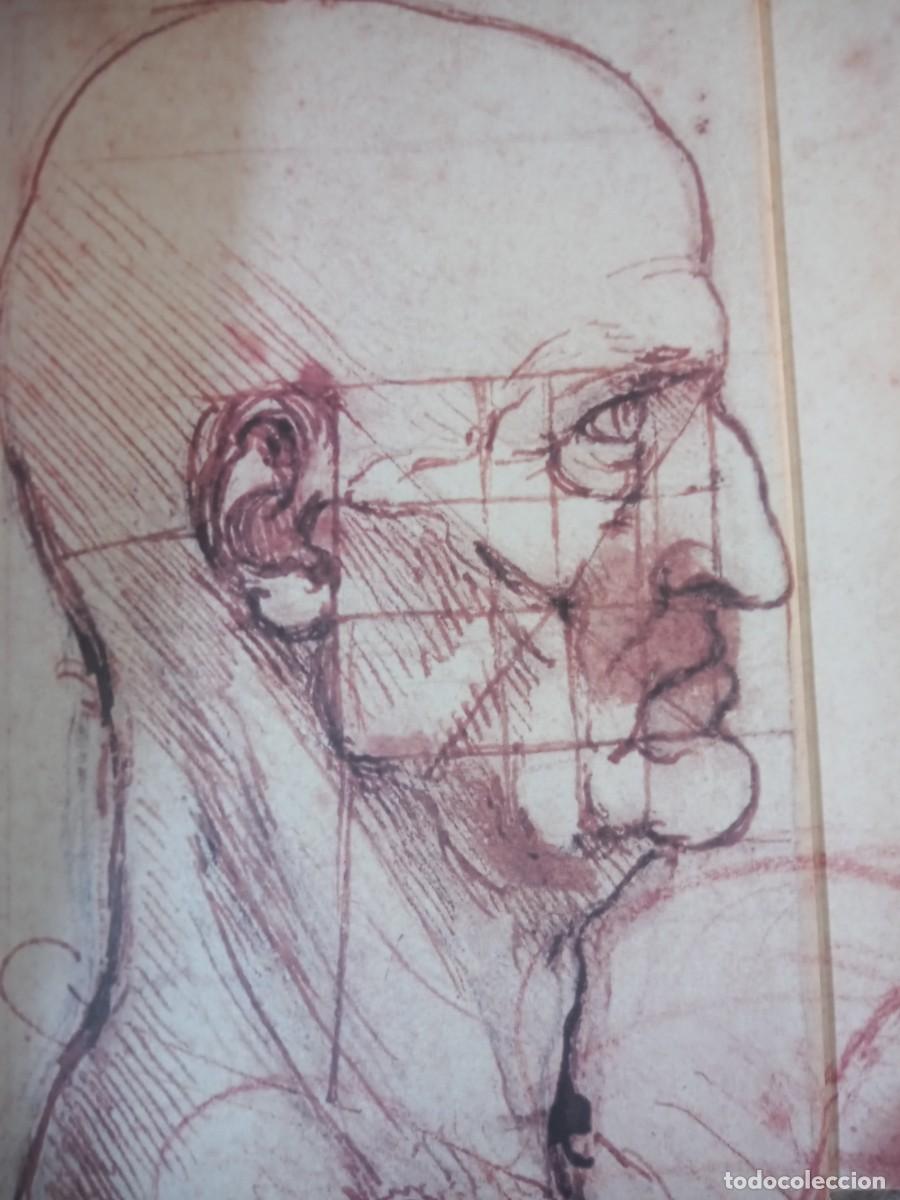 Libros de segunda mano: BONITO LIBRODE ARTE. LEONARDO DA VINCI. & - Foto 2