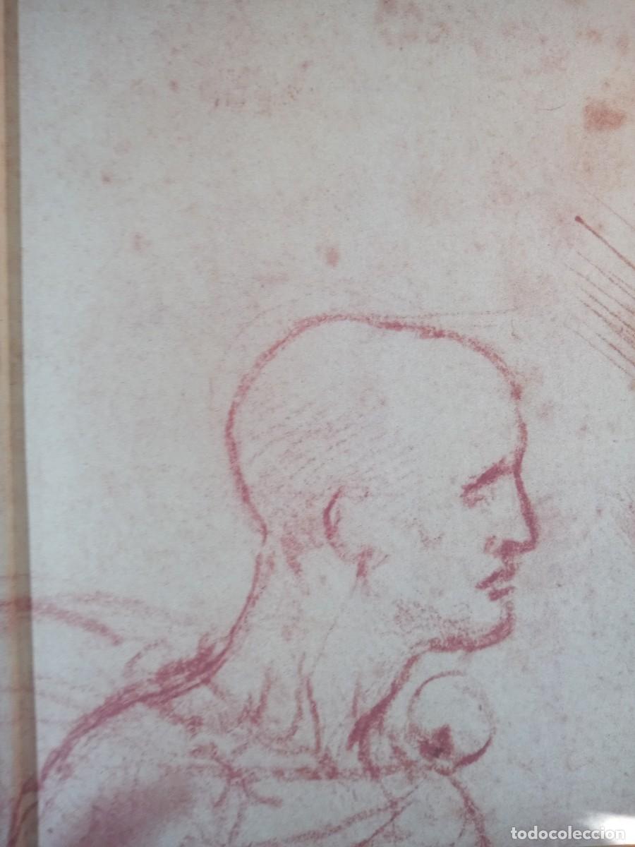 Libros de segunda mano: BONITO LIBRODE ARTE. LEONARDO DA VINCI. & - Foto 3