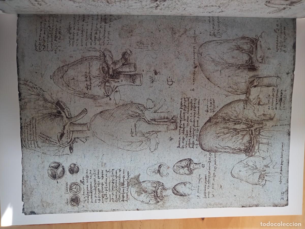 Libros de segunda mano: BONITO LIBRODE ARTE. LEONARDO DA VINCI. & - Foto 4