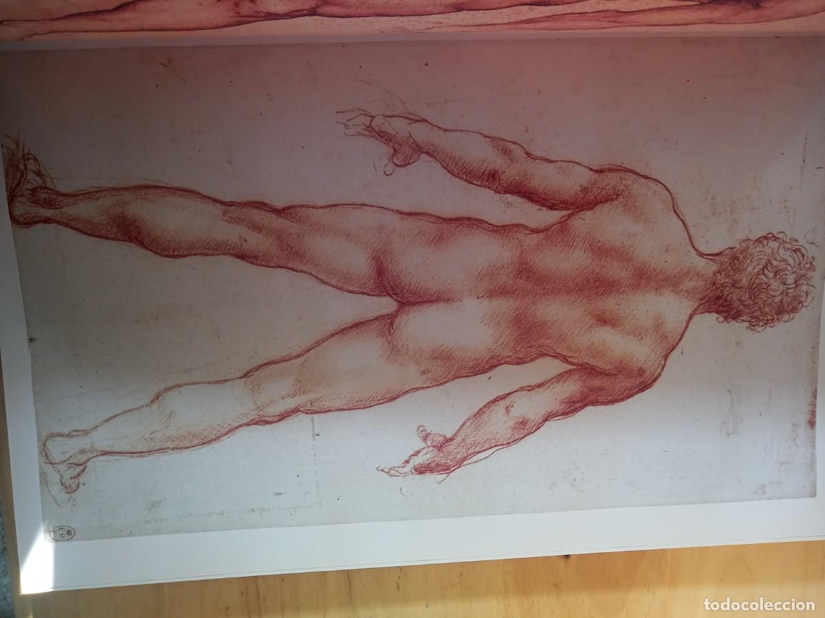 Libros de segunda mano: BONITO LIBRODE ARTE. LEONARDO DA VINCI. & - Foto 6
