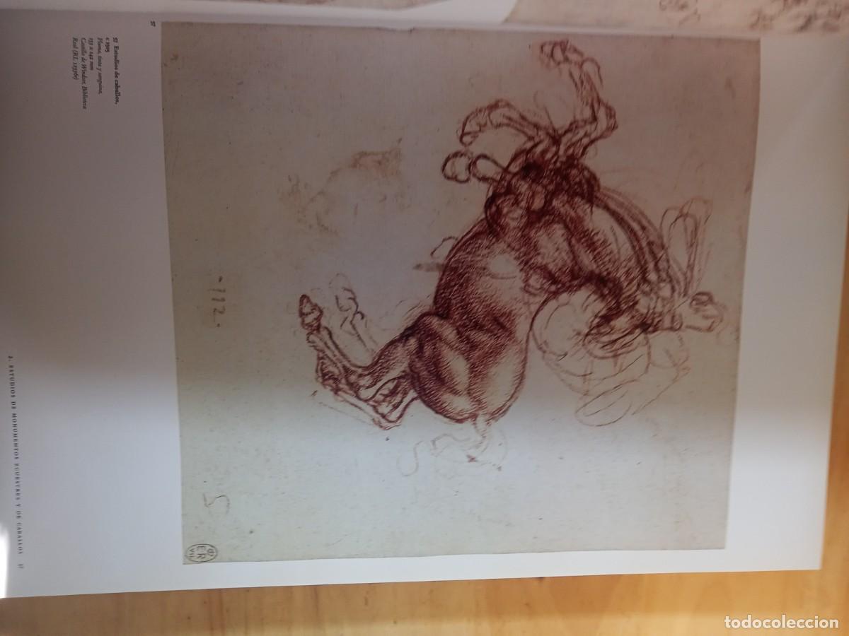 Libros de segunda mano: BONITO LIBRODE ARTE. LEONARDO DA VINCI. & - Foto 7