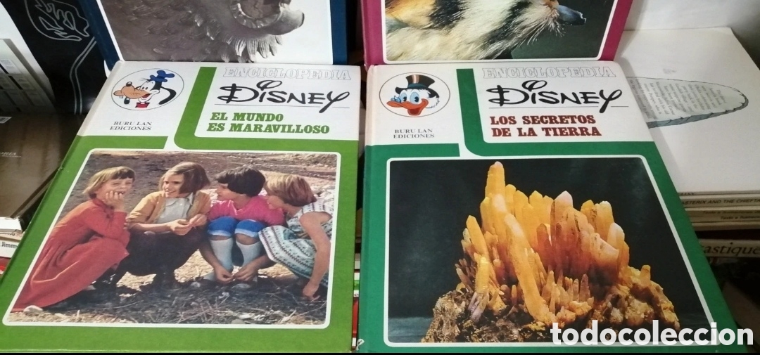 Libros de segunda mano: Disney Enciclopedia 4 tomos Buru Lan Ediciones 1973 - Foto 3