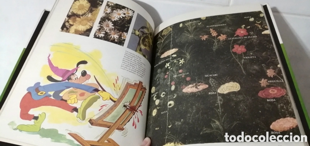 Libros de segunda mano: Disney Enciclopedia 4 tomos Buru Lan Ediciones 1973 - Foto 12