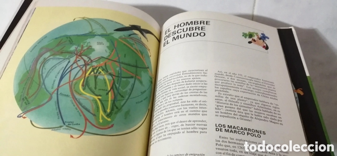 Libros de segunda mano: Disney Enciclopedia 4 tomos Buru Lan Ediciones 1973 - Foto 13
