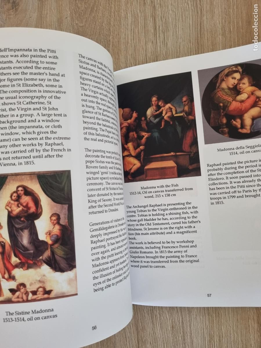 Libros de segunda mano: Raphael. 210 colour plates. Libro de arte - Foto 7