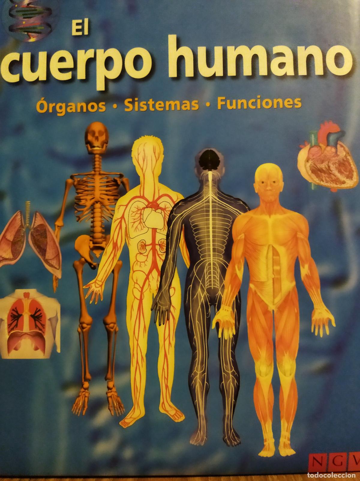 Libros de segunda mano: El cuerpo humano - Foto 1