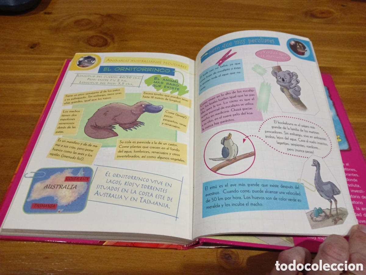 Libros de segunda mano: La monta&ntilde;a parlante - Foto 7