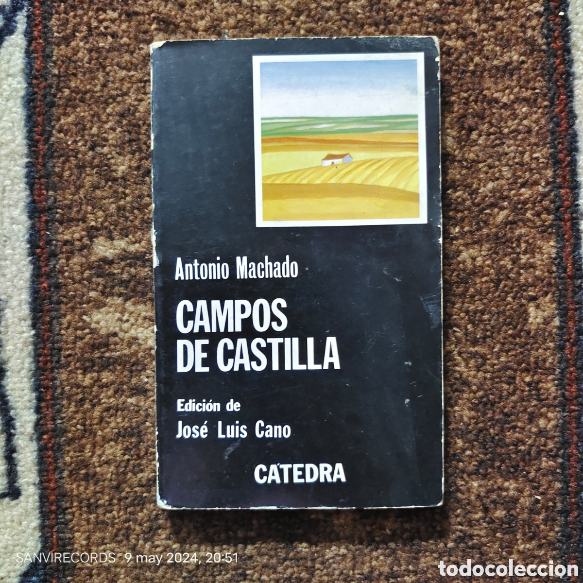 Libros de segunda mano: CAMPOS DE CASTILLA (ANTONIO MACHADO) (CATEDRA, LETRAS HISP&Aacute;NICAS) - Foto 1