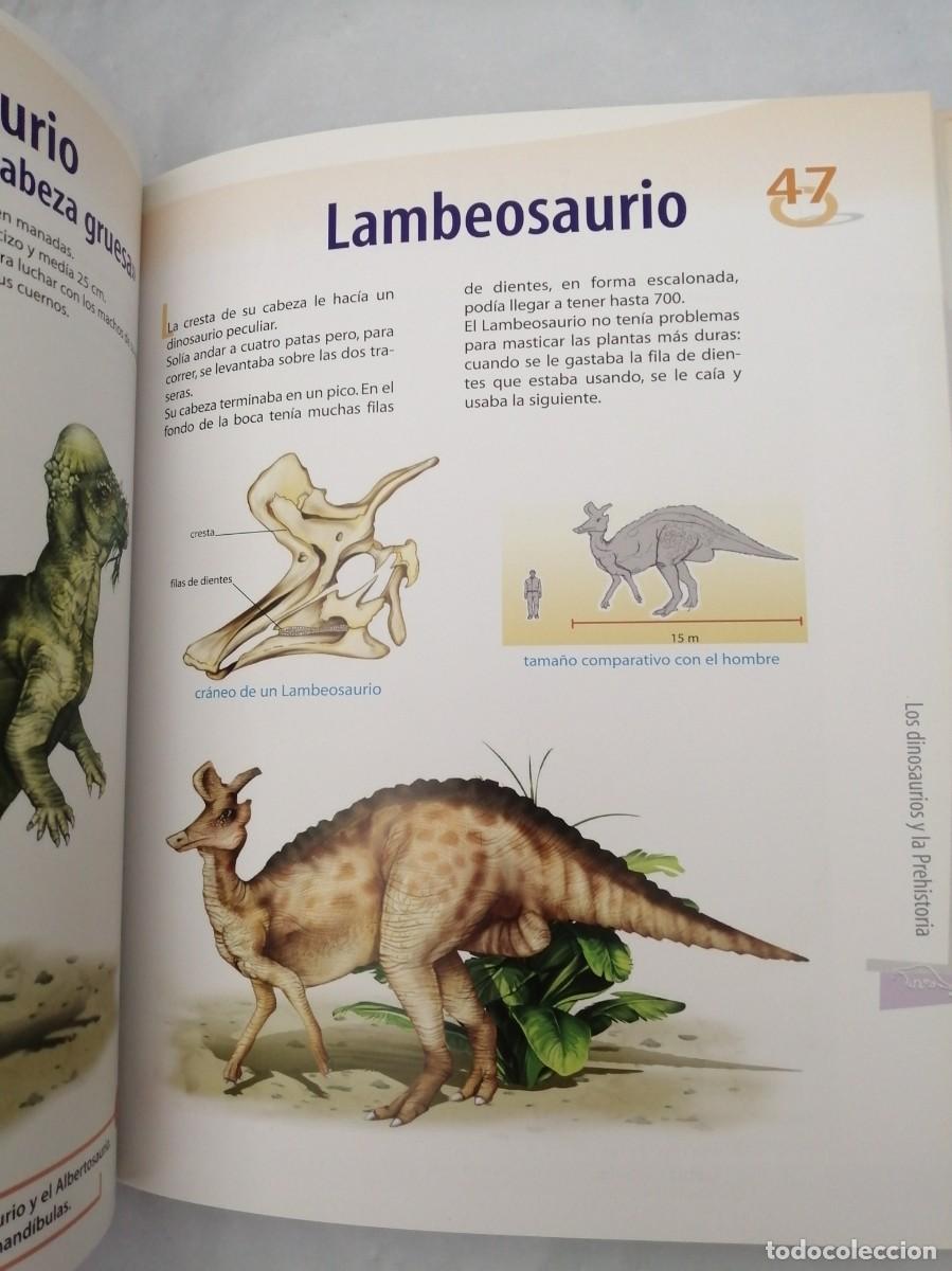 Libros de segunda mano: Enciclopedia Ilustrada de los Dinosaurios y la Prehistoria - Foto 5