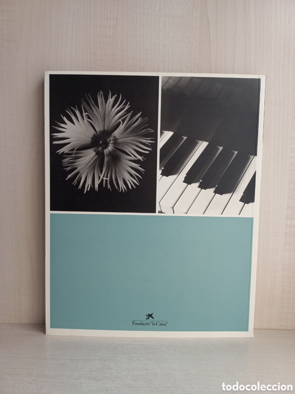 Libros de segunda mano: Les formes del m&oacute;n. Blosfieldt; Sander; Renger-Patzsch; Ehrhardt. La Caixa, 2000. - Foto 3