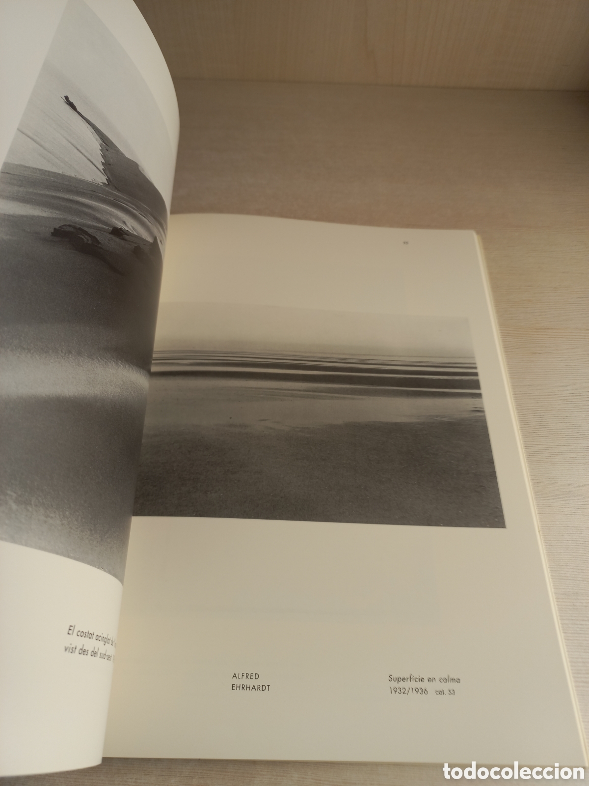 Libros de segunda mano: Les formes del m&oacute;n. Blosfieldt; Sander; Renger-Patzsch; Ehrhardt. La Caixa, 2000. - Foto 5
