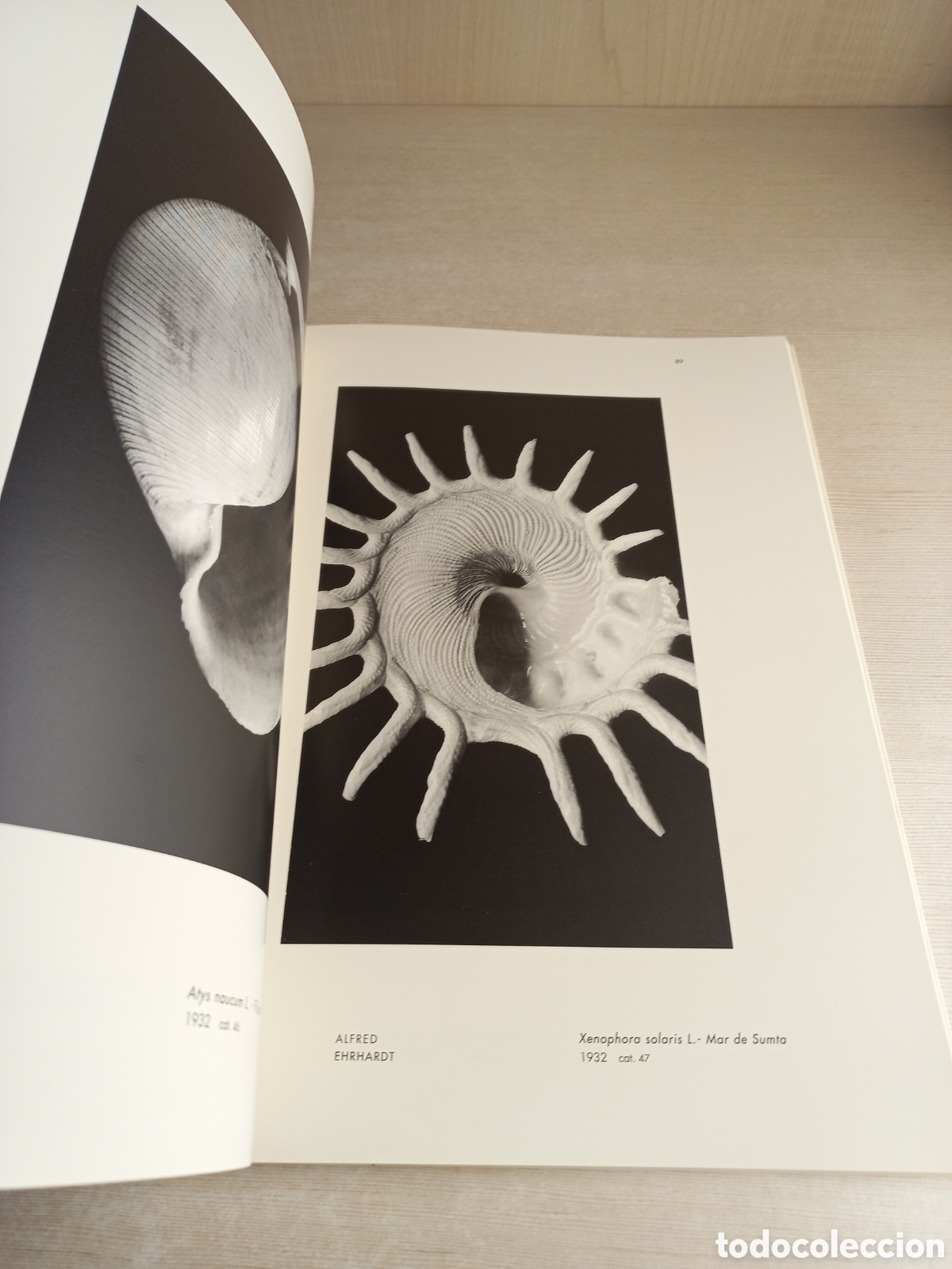 Libros de segunda mano: Les formes del m&oacute;n. Blosfieldt; Sander; Renger-Patzsch; Ehrhardt. La Caixa, 2000. - Foto 6