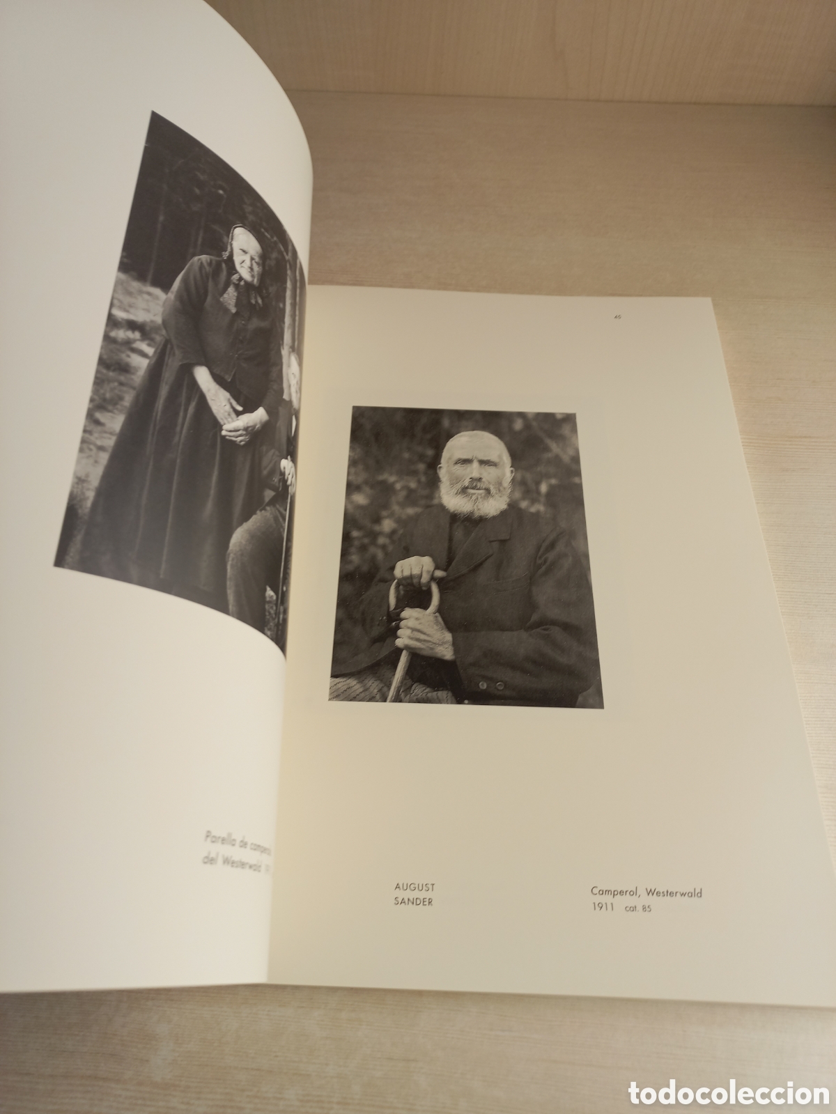 Libros de segunda mano: Les formes del m&oacute;n. Blosfieldt; Sander; Renger-Patzsch; Ehrhardt. La Caixa, 2000. - Foto 7