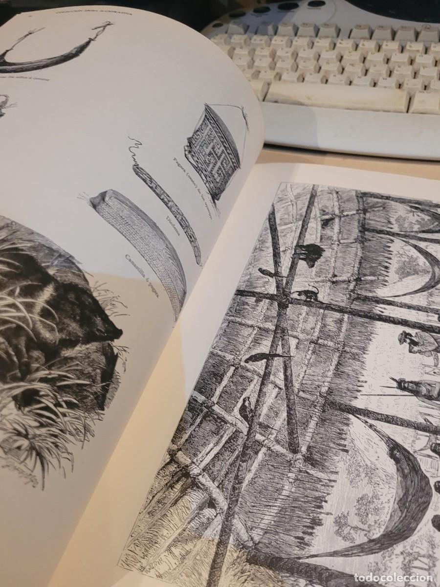 Libros de segunda mano: Libro de grabados de america facsimil... muy bueno - Foto 6