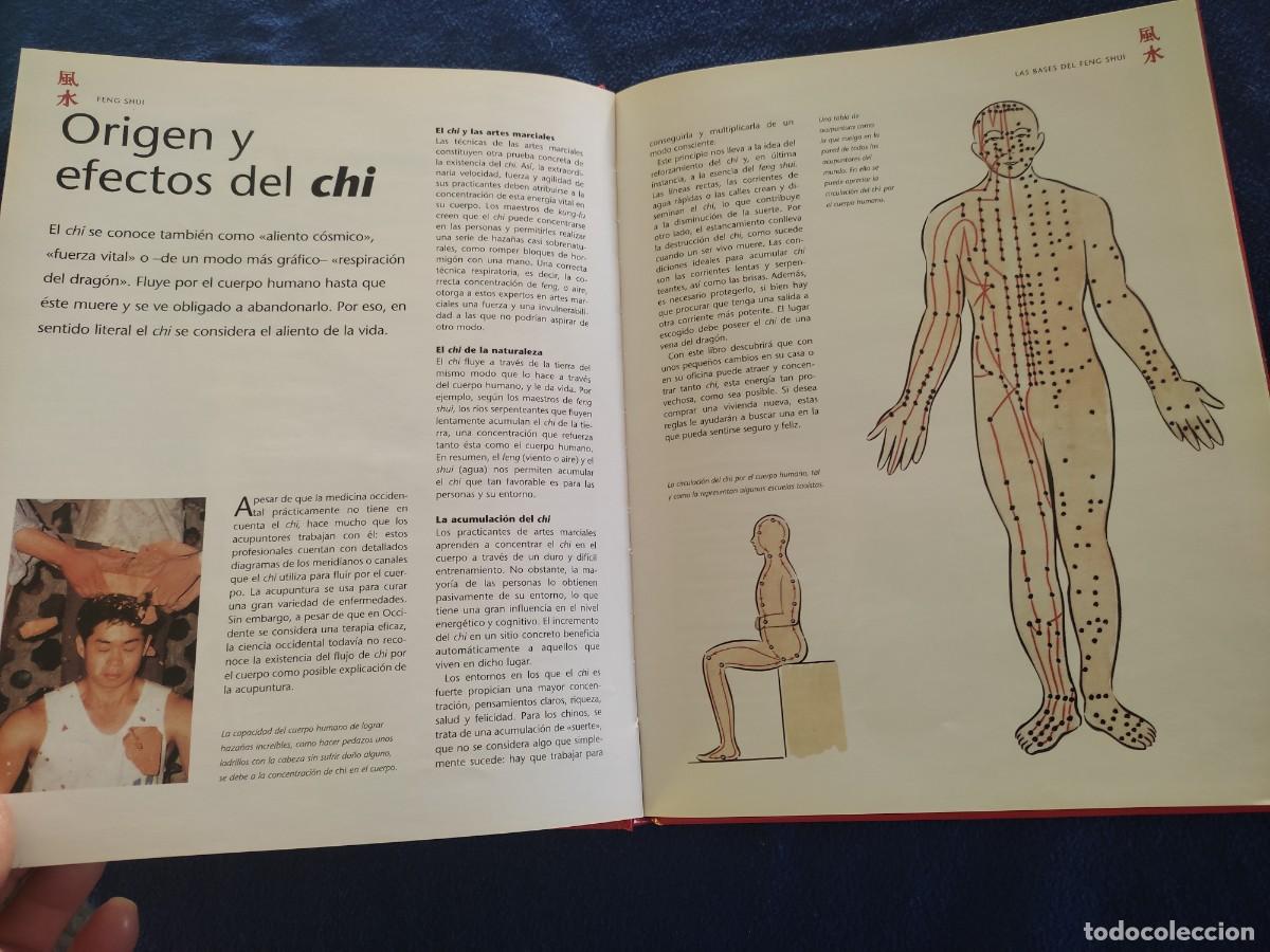 Libros de segunda mano: FENG SHUI Stephen Skinner Ed. Parragon Books LTD.2006 - Foto 6