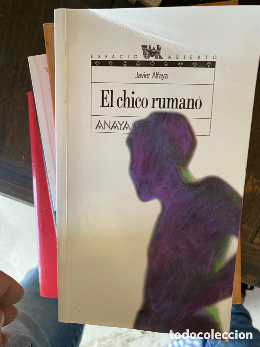 Libros de segunda mano: El chico rumano . Anaya - Foto 1