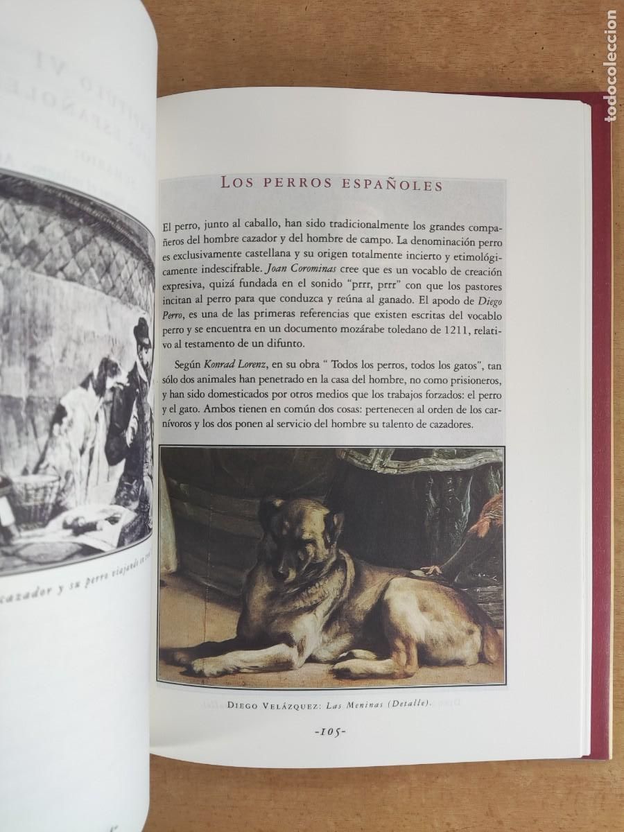 Libros de segunda mano: EL LIBRO DE LA CAZA / LORENZO DE GRANDES / 1994 - Foto 3