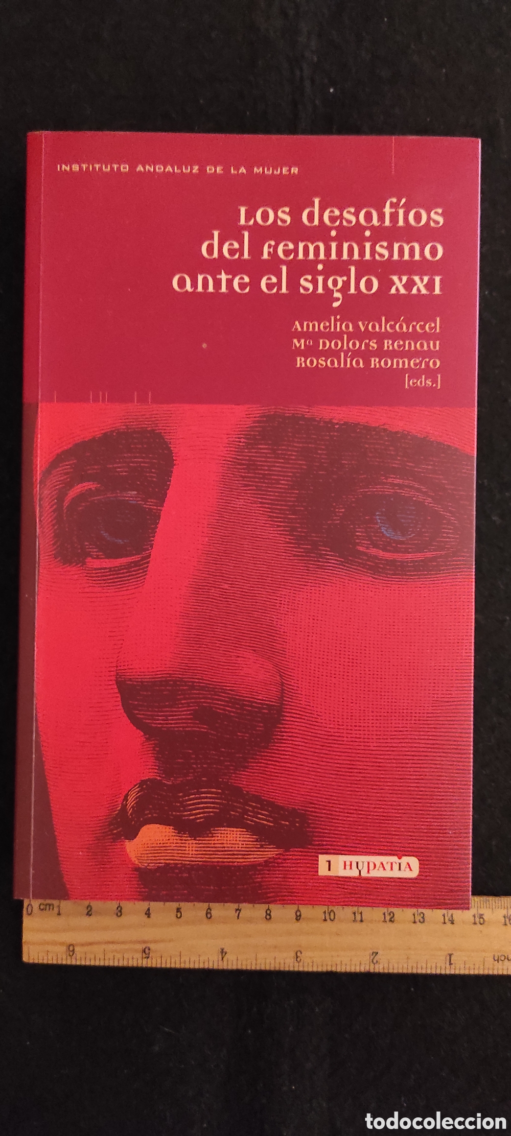 Libros de segunda mano: LOS DESAF&Iacute;OS DEL FEMINISMO ANTE EL SIGLO XXI. AMELIA VALC&Aacute;RCEL, M&ordf; DOLORS RENAU, R.