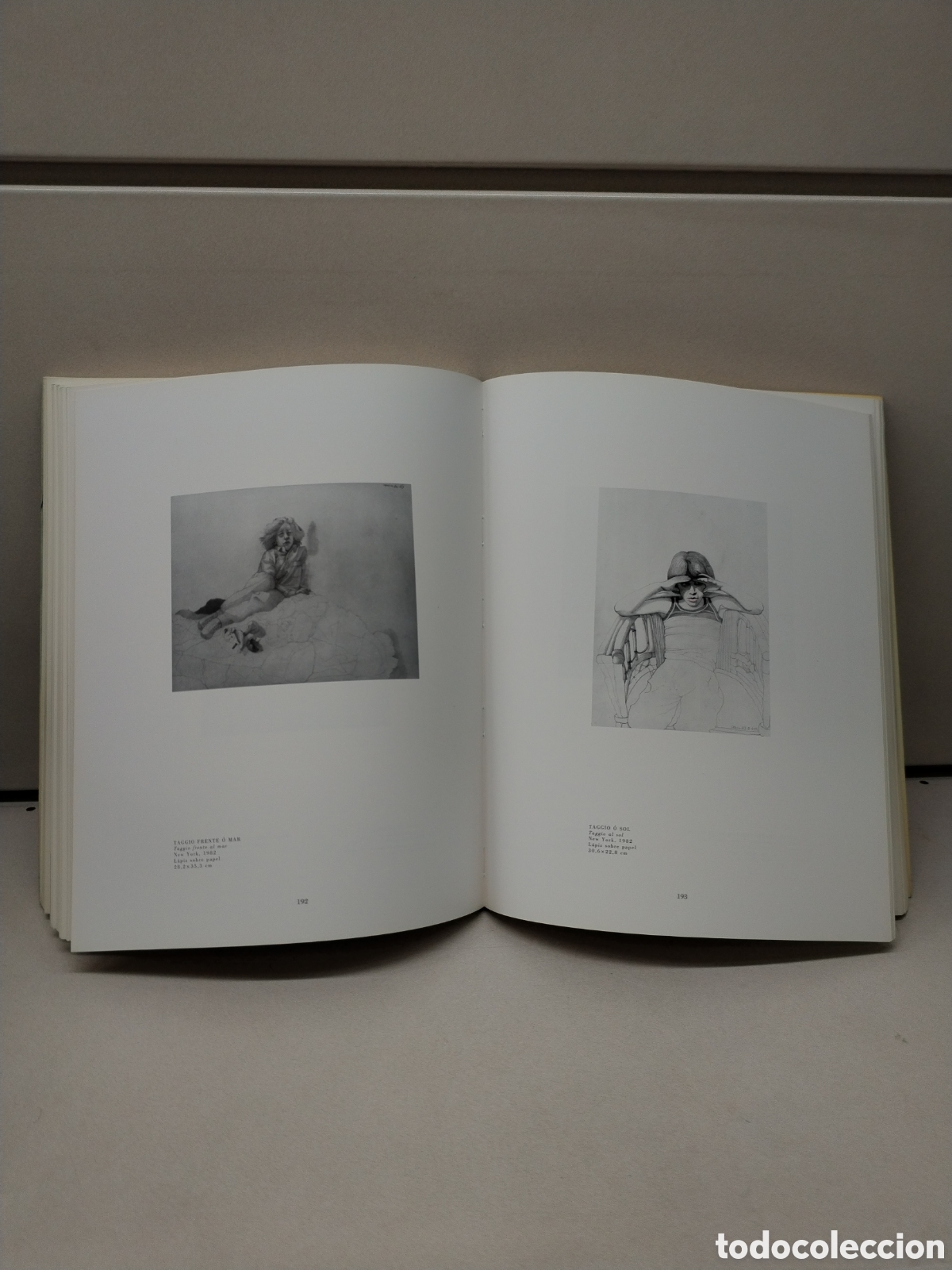 Libros de segunda mano: CASTILLO - Maria LLuisa Borr&aacute;s (comis.) - Foto 2