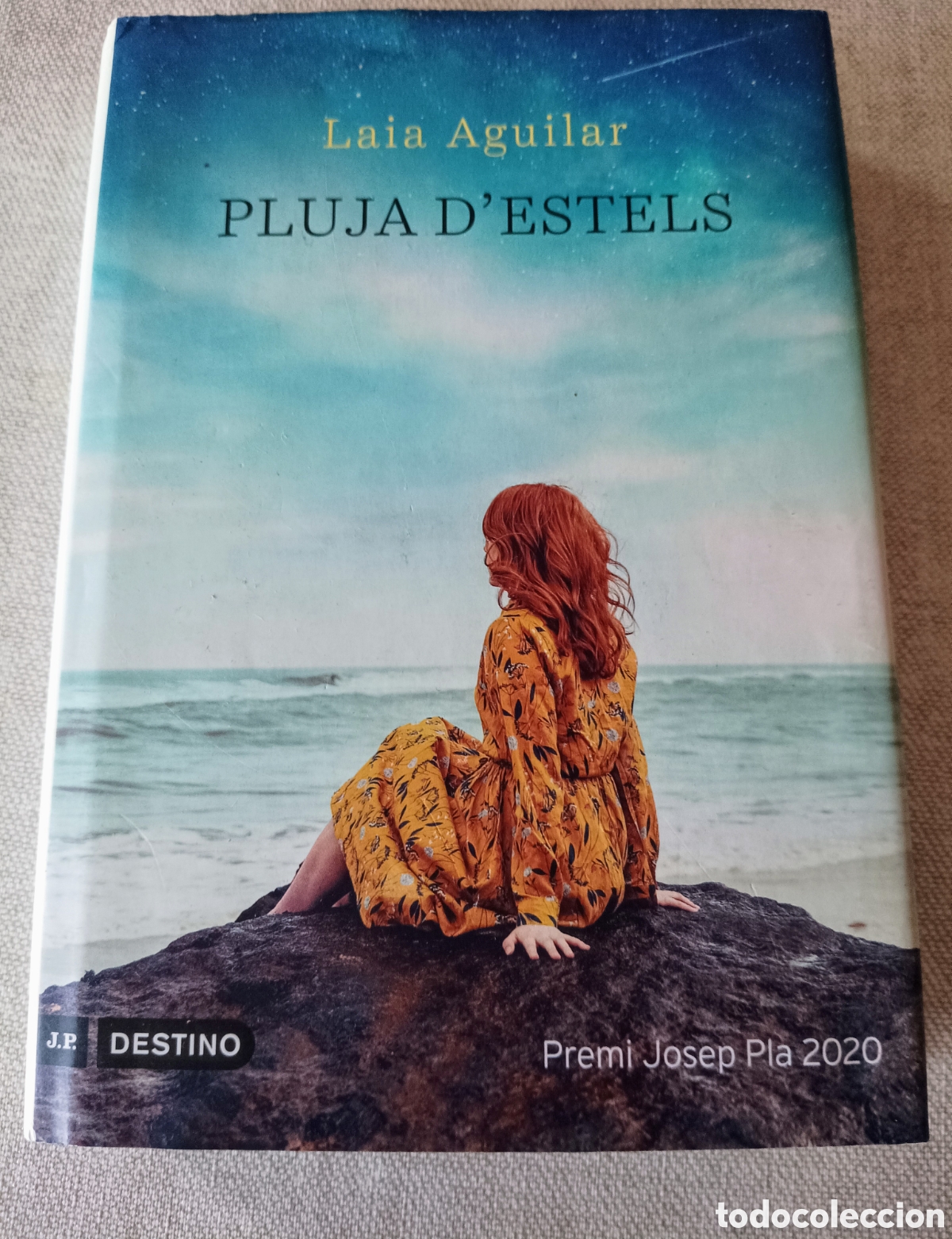 Libros de segunda mano: Libro en catal&aacute;n PLUJA DESTELS. Laia Aguilar. - Foto 1