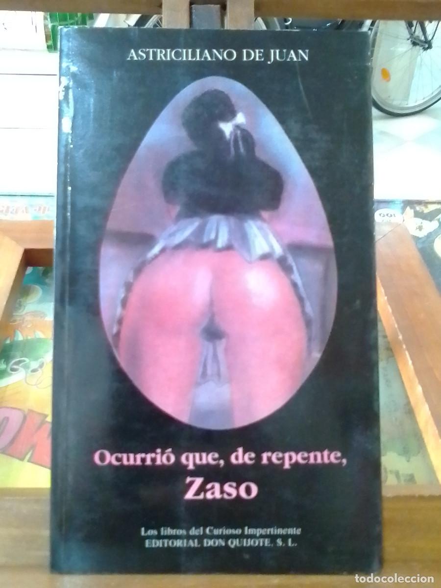 Libros de segunda mano: Ocurri&oacute; que, de repente, Zaso / Astriciliano de Juan / Editorial Don Quijote S.L. / A&ntilde;o 1992